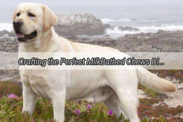 Crafting the Perfect MilkBathed Chews DIY Doggy Dental Delights